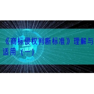 《商标侵权判断标准》理解与适用（一）